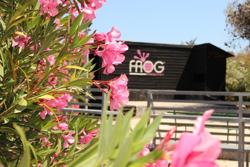 Villaggio Turistico Scialmarino เวียสเต ภายนอก รูปภาพ